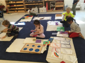 Unique Features of Montessori Education: An All-Inclusive Guide